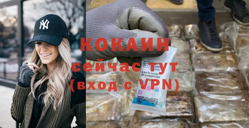 Cocaine Fish Scale  как найти наркотики  кракен как зайти  Ахтубинск 